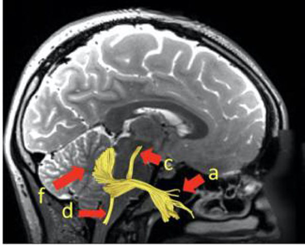 图片6.jpg 图片6.jpg