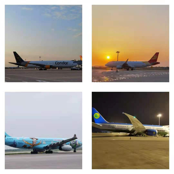 图片12.jpg 图片12.jpg