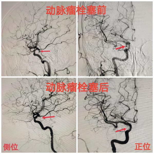 图片3.jpg 图片3.jpg