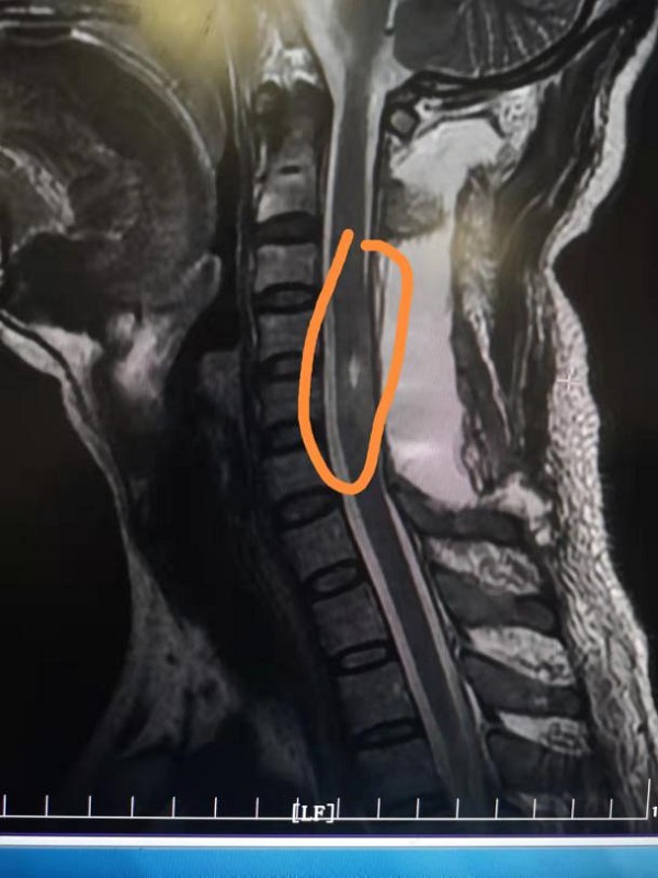 图片3.jpg 图片3.jpg