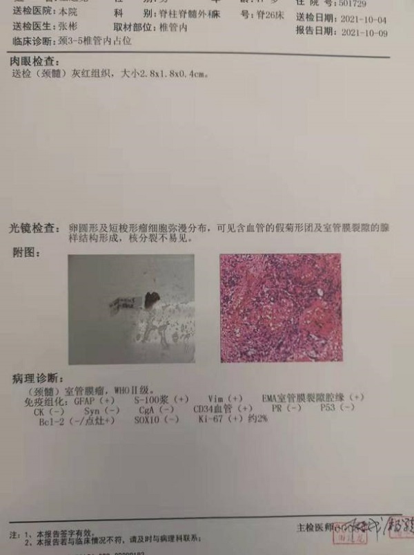 图片4.jpg 图片4.jpg