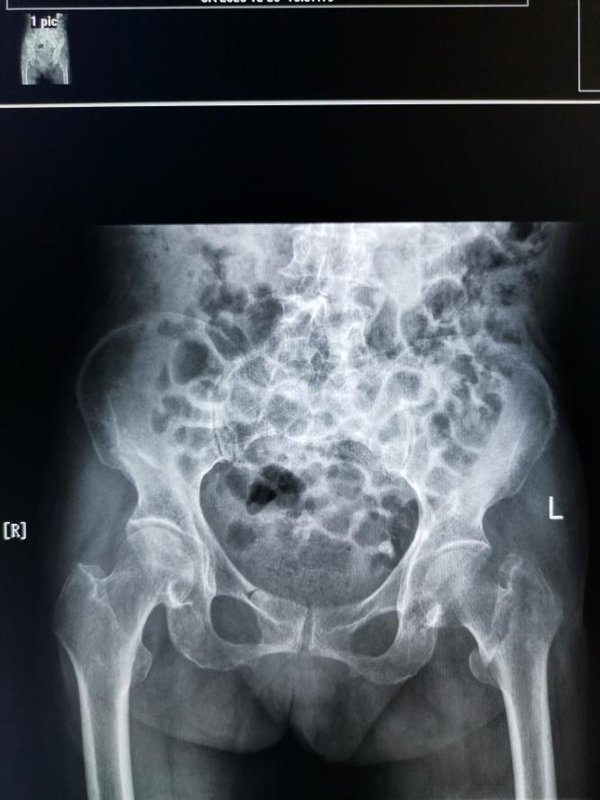 图片1.jpg 图片1.jpg