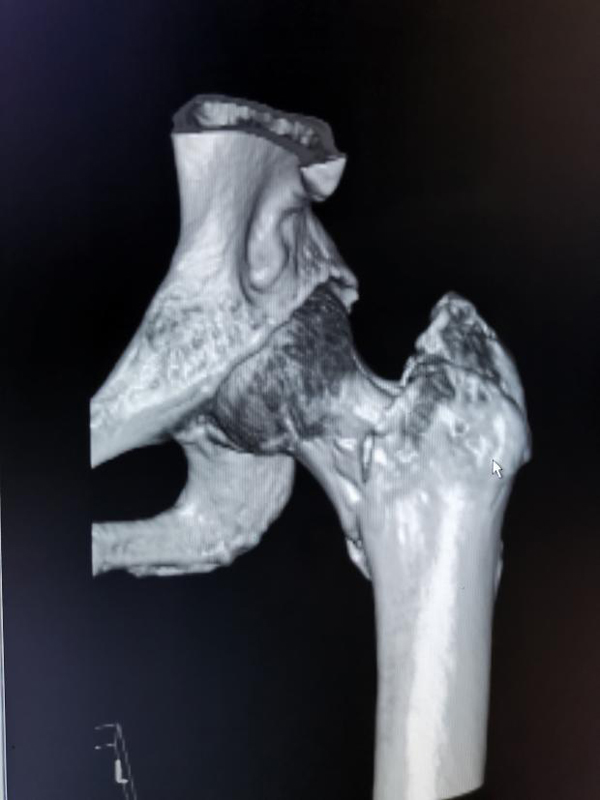 图片2.jpg 图片2.jpg