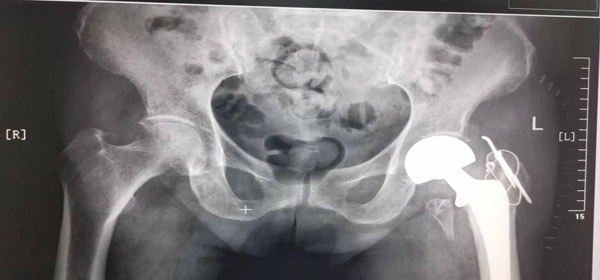 图片4.jpg 图片4.jpg