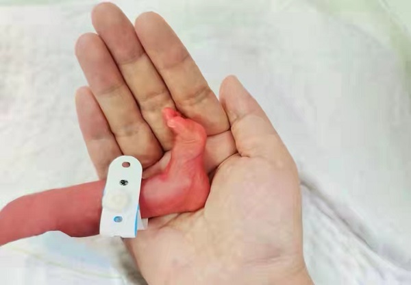 图片5.jpg 图片5.jpg