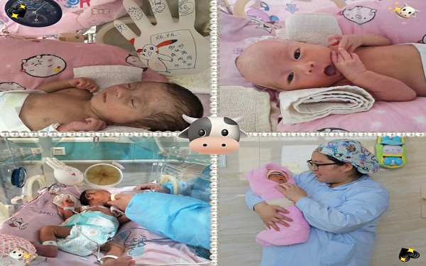 图片8.jpg 图片8.jpg