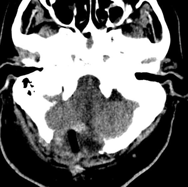 图片4.jpg 图片4.jpg
