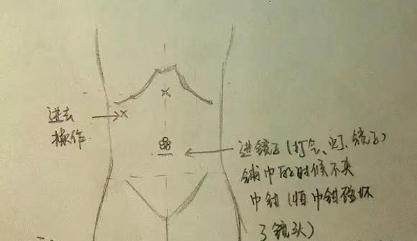 图片3.jpg 图片3.jpg