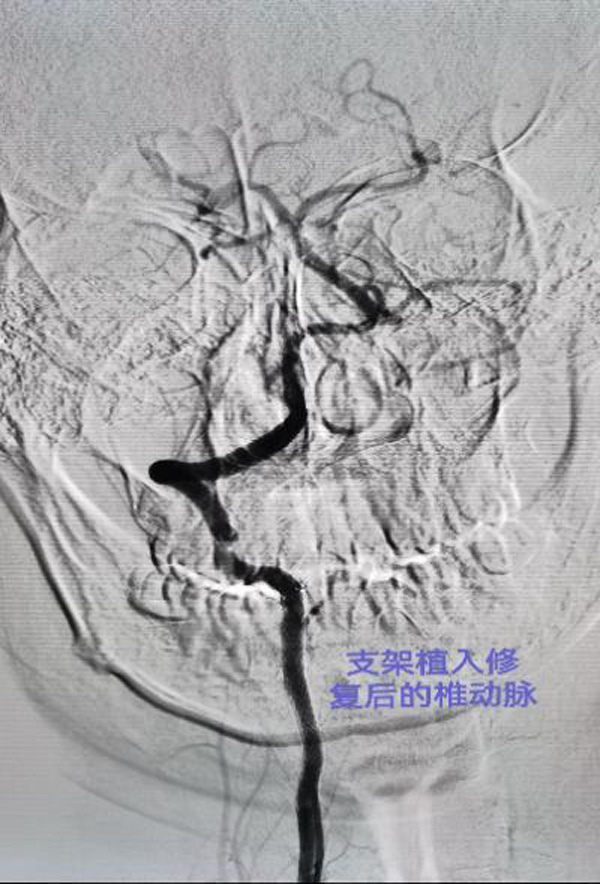 图片5.jpg 图片5.jpg