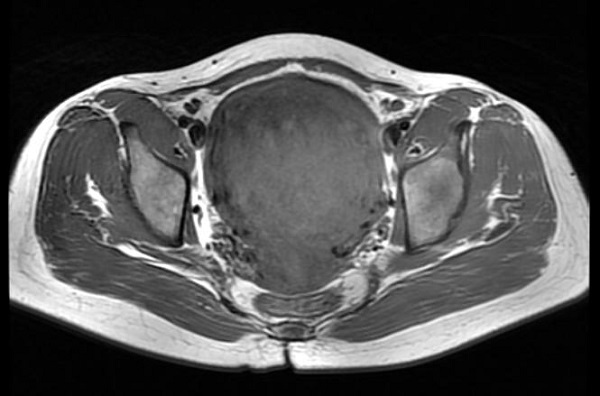图片4.jpg 图片4.jpg