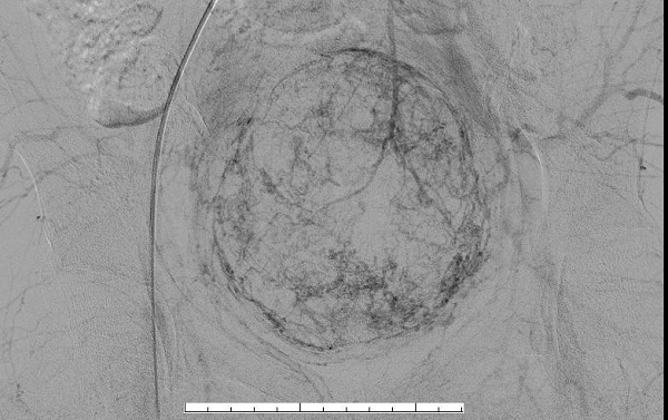 图片5.jpg 图片5.jpg