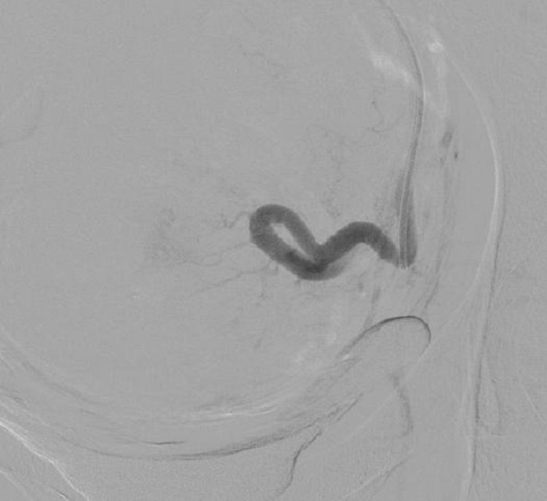 图片6.jpg 图片6.jpg