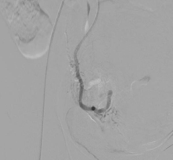 图片7.jpg 图片7.jpg