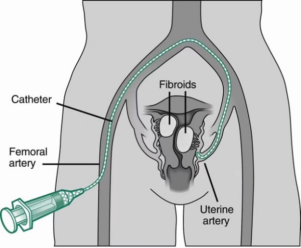 图片8.jpg 图片8.jpg