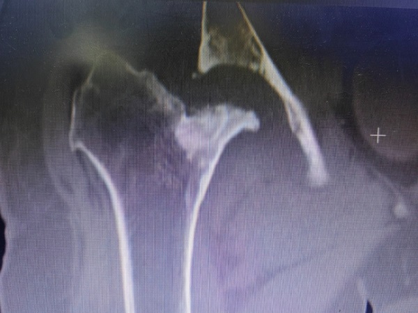 图片2.jpg 图片2.jpg