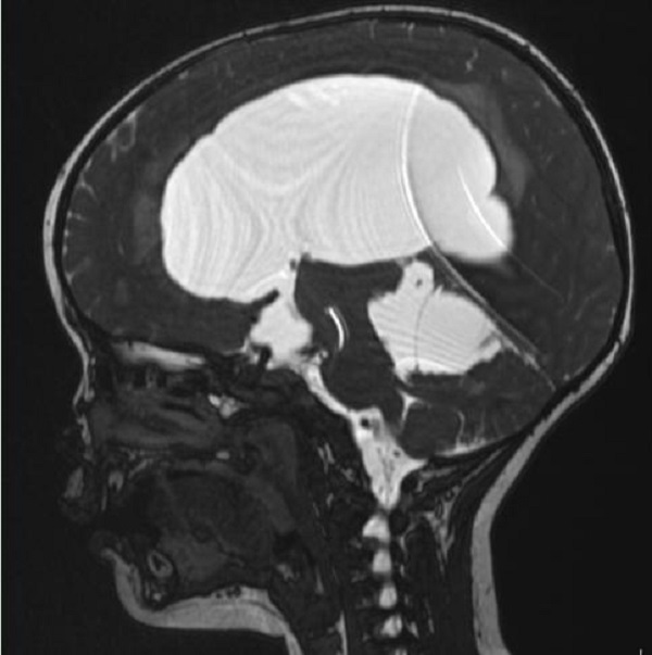 图片3.jpg 图片3.jpg