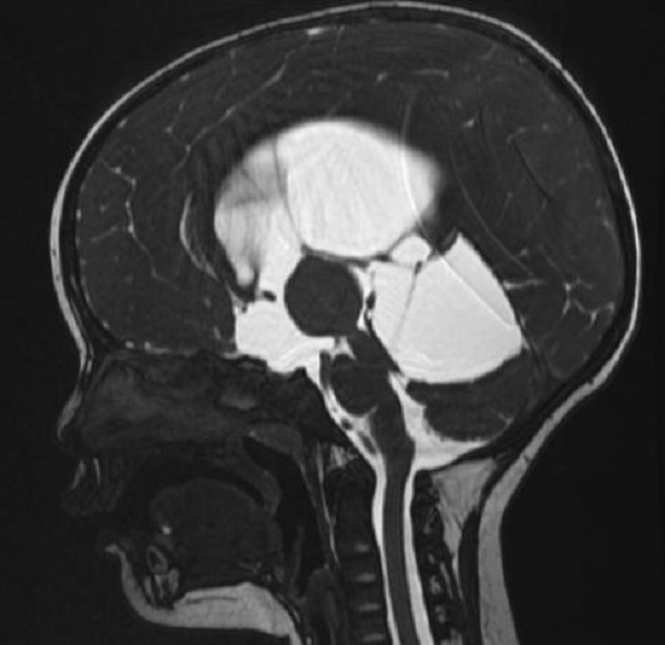 图片4.jpg 图片4.jpg