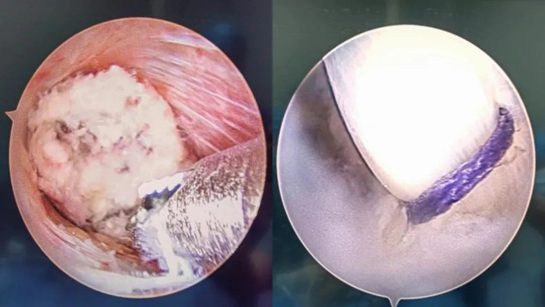 微信图片_20221214085121.jpg 微信图片_20221214085121.jpg