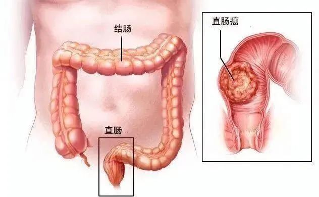 微信图片_20250320145048.jpg